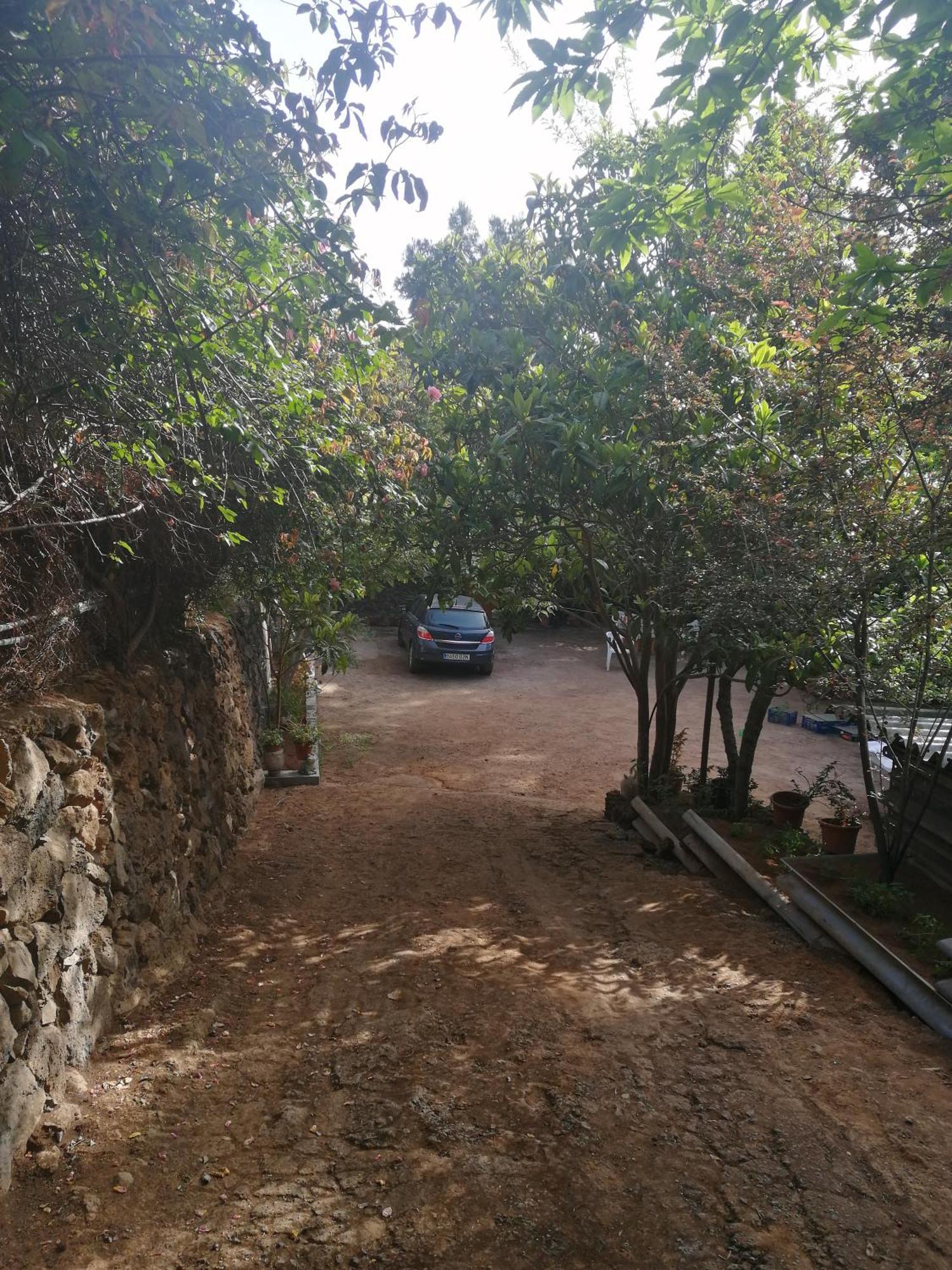Casa Ecologica, Autosuficiente En Lomo Blanco, Dentro De Una Casa Rodeada De Naturaleza San Juan de la Rambla エクステリア 写真