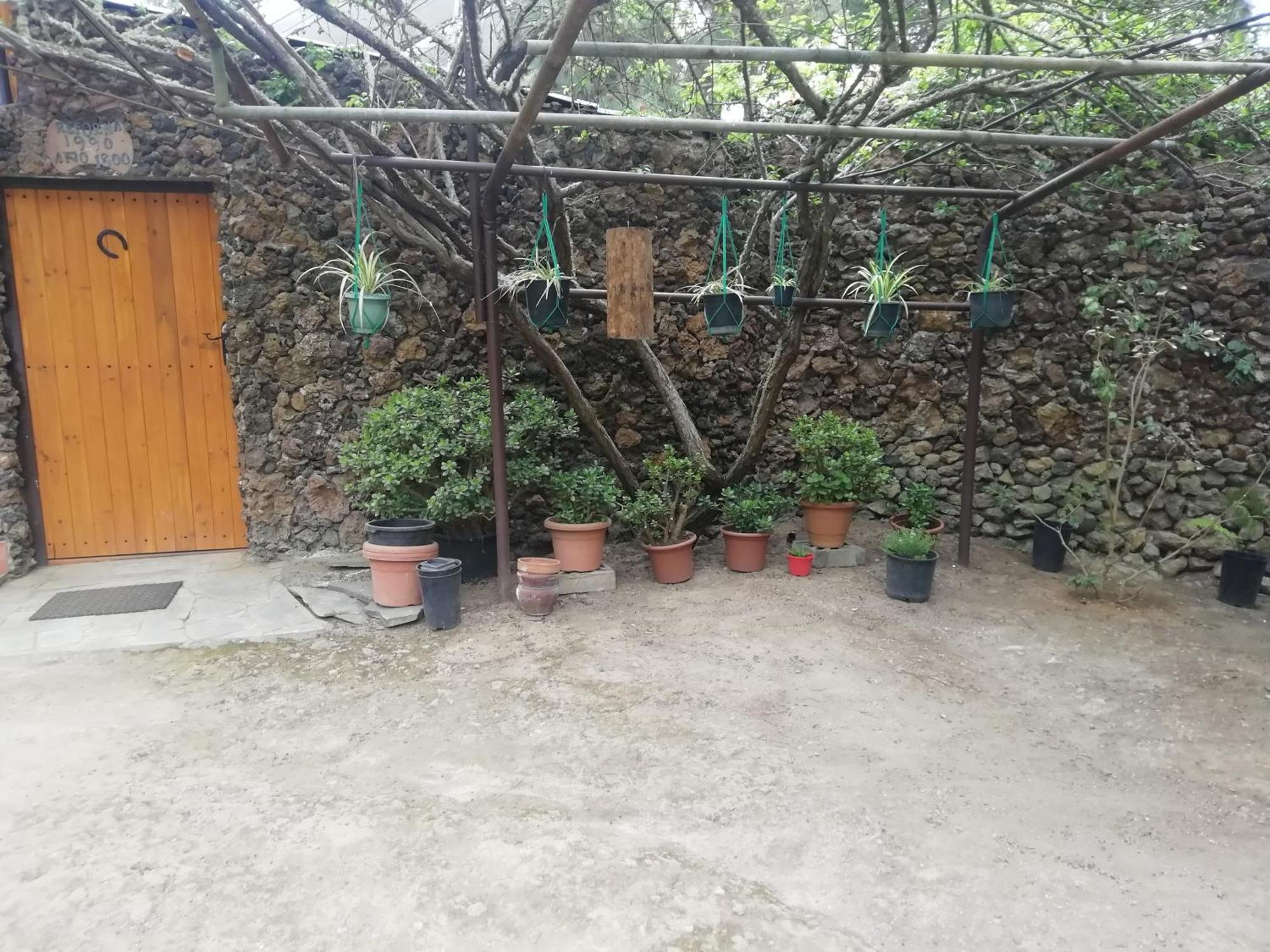Casa Ecologica, Autosuficiente En Lomo Blanco, Dentro De Una Casa Rodeada De Naturaleza San Juan de la Rambla エクステリア 写真
