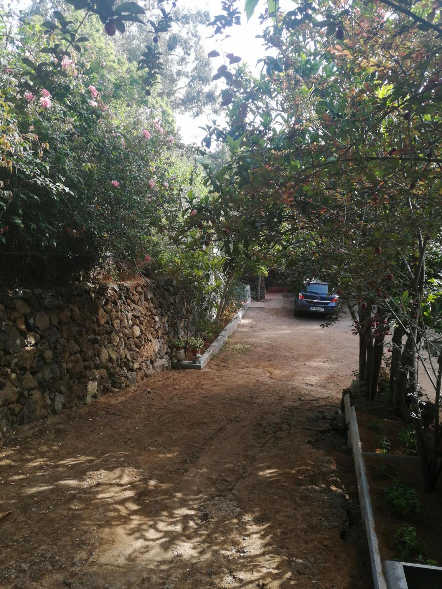 Casa Ecologica, Autosuficiente En Lomo Blanco, Dentro De Una Casa Rodeada De Naturaleza San Juan de la Rambla エクステリア 写真